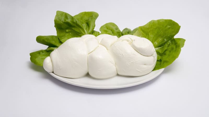 Mozzarella di bufala campana